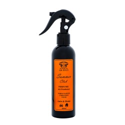 AIR SPICE SUMMER CLUB SPRAY...