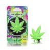 MARY&JUANA CLIP FRESH JUNGLE HEMP GREEN