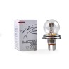 R2 12V 45/40W P45t M-TECH