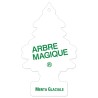 ARBRE MAGIQUE  MENTA GLACIALE